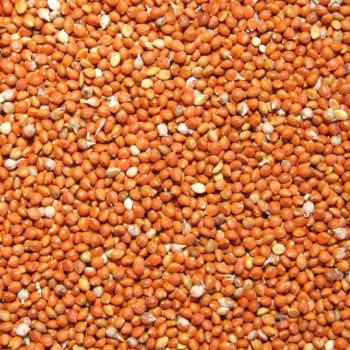 20lb Red Proso Millet - Bulk Ingredients