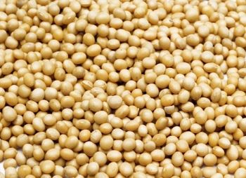 35lb Soybean - Bulk Ingredients