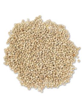 White Proso Millet Per Lb