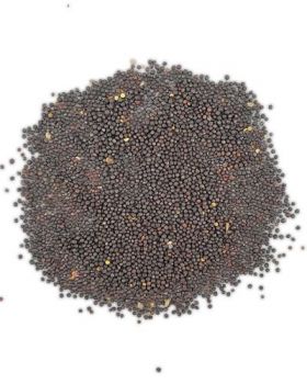 20lb Canola Seed - Bulk Ingredients