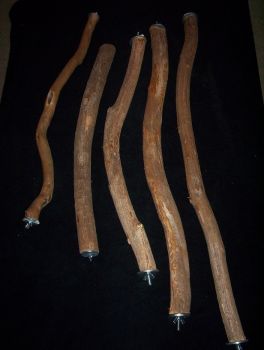Full Length Natural Wood Perch