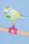 Sm Play Bird-Penn Plax 