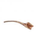 1/8" Kraft Paper Twist Rope Per 5ft