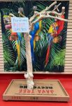 Java Tree Bird Stand