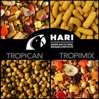 HARI (HAGEN) BULK
