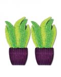 Loofah Potted Plants - A&E Nibbles