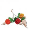 Loofah Bunch of Fruits - A&E Nibbles