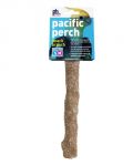Sm Beach Branch - Prevue Hendryx