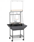 Sm Bird Activity Center-Prevue Pets 