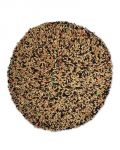 Vita Canary Bulk-Sun Seed 