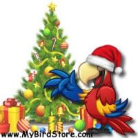 HOLIDAY BIRD TOYS