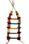 24" Groovy Ladder-Zoo Max