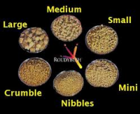 ROUDYBUSH BULK