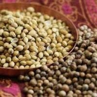 SEEDS, ETC.