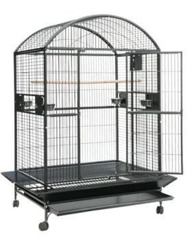 48 x 36 Powder Coated X-Lg Dome Top AE Cage 