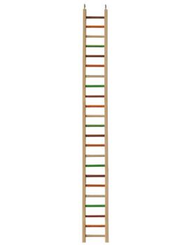 49