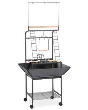 Sm Bird Activity Center-Prevue Pets 