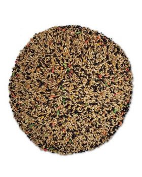 Vita Canary Bulk-Sun Seed 
